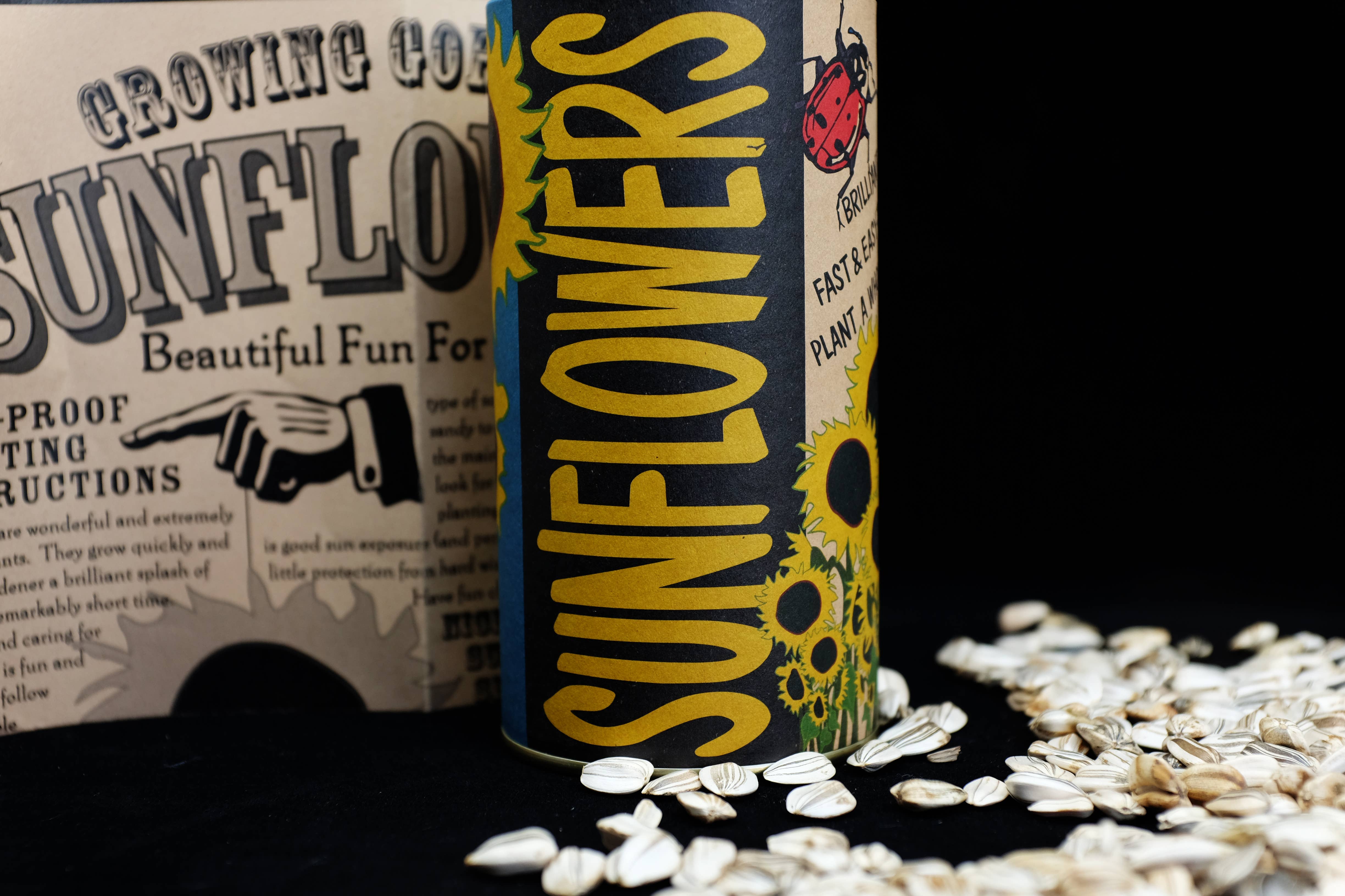 The Jonsteen Company - Vente Graines de plantes - Tournesol | Kit de culture de graines1