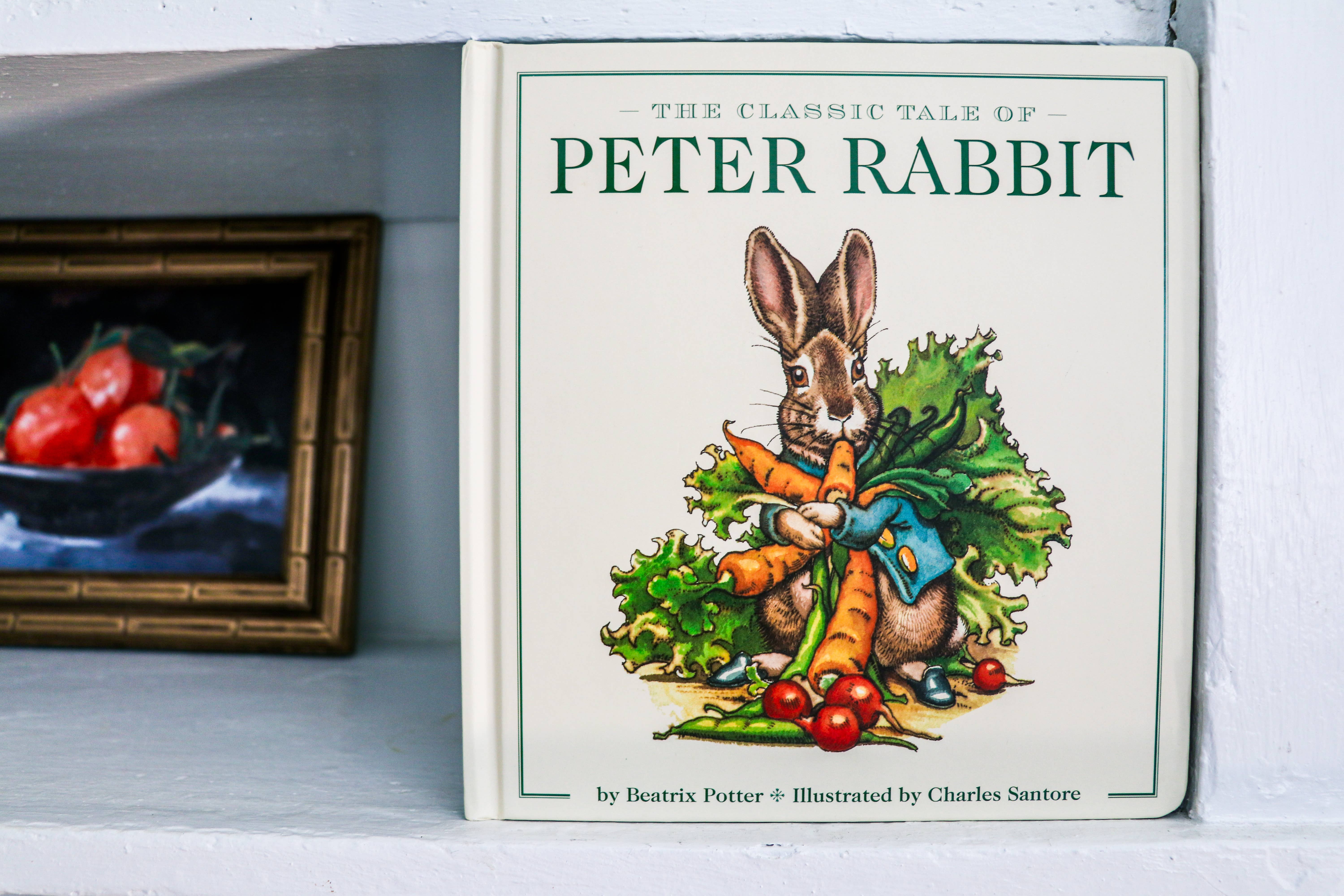 HarperCollins Focus - Wholesale Baby & Toddler Book (0-2) - The Peter Rabbit Oversized Board Book9