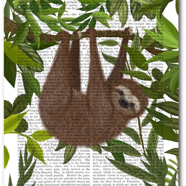 Sloth Hængende Rundt II Galleri Indpakket lærred Wall Art for engroshandel hos Courtside Market