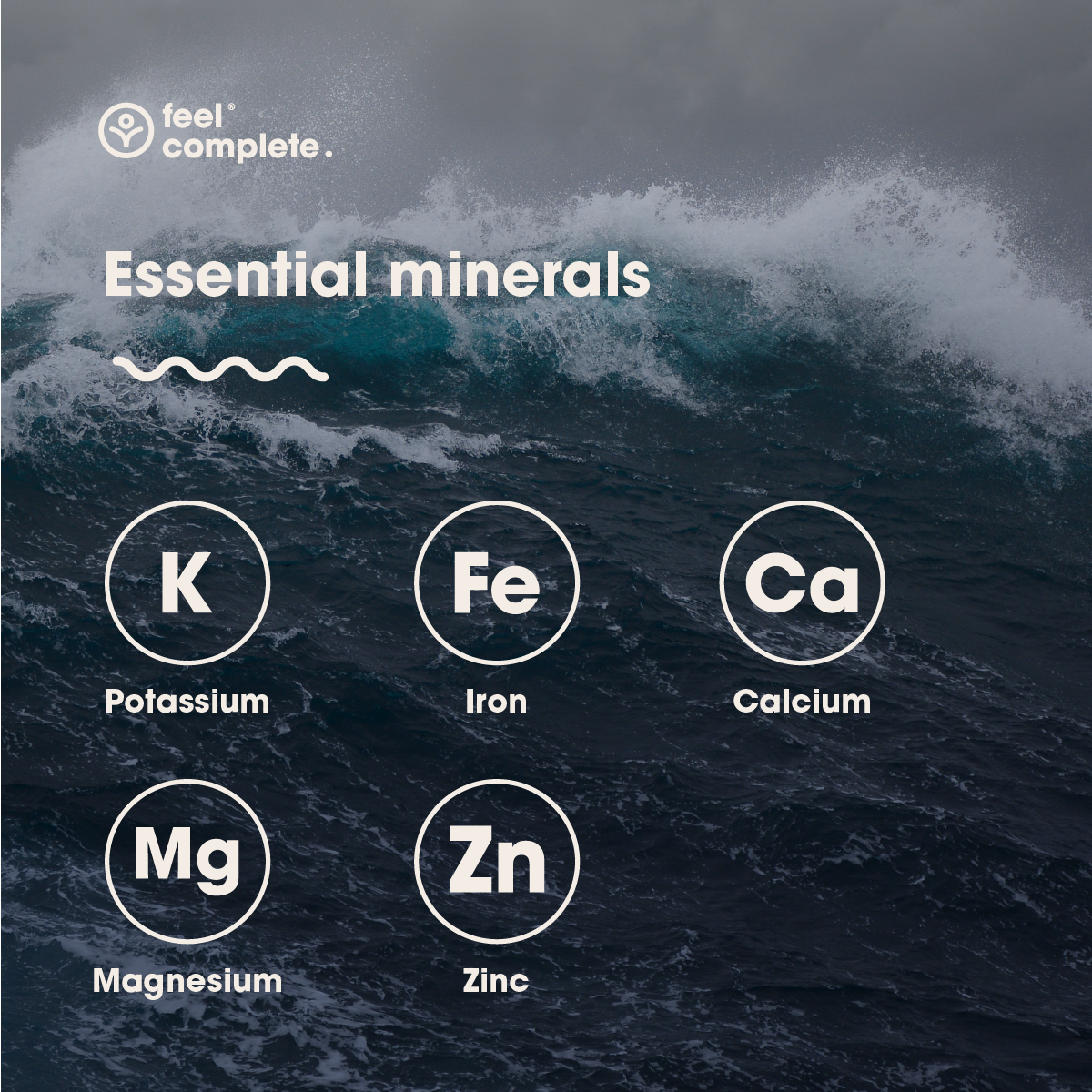 Feel Complete - Wholesale Salt - Celtic Sea Salt (Fine & Dry)6