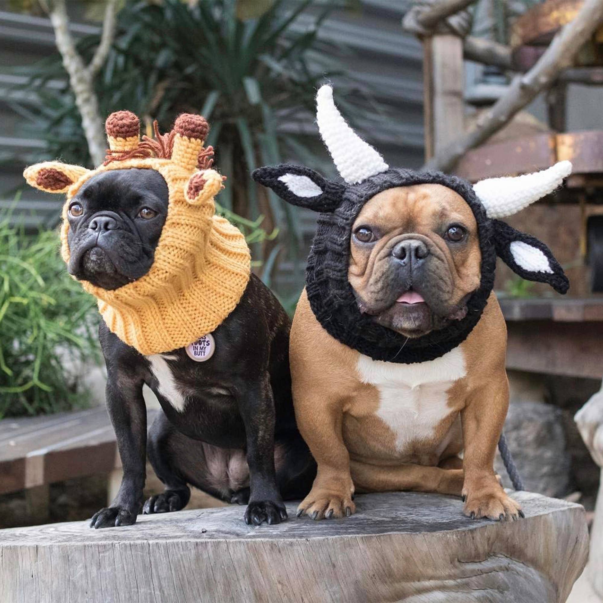 Zoo Snoods - Vente Tour de cou – chien - Snood pour bouledogue7