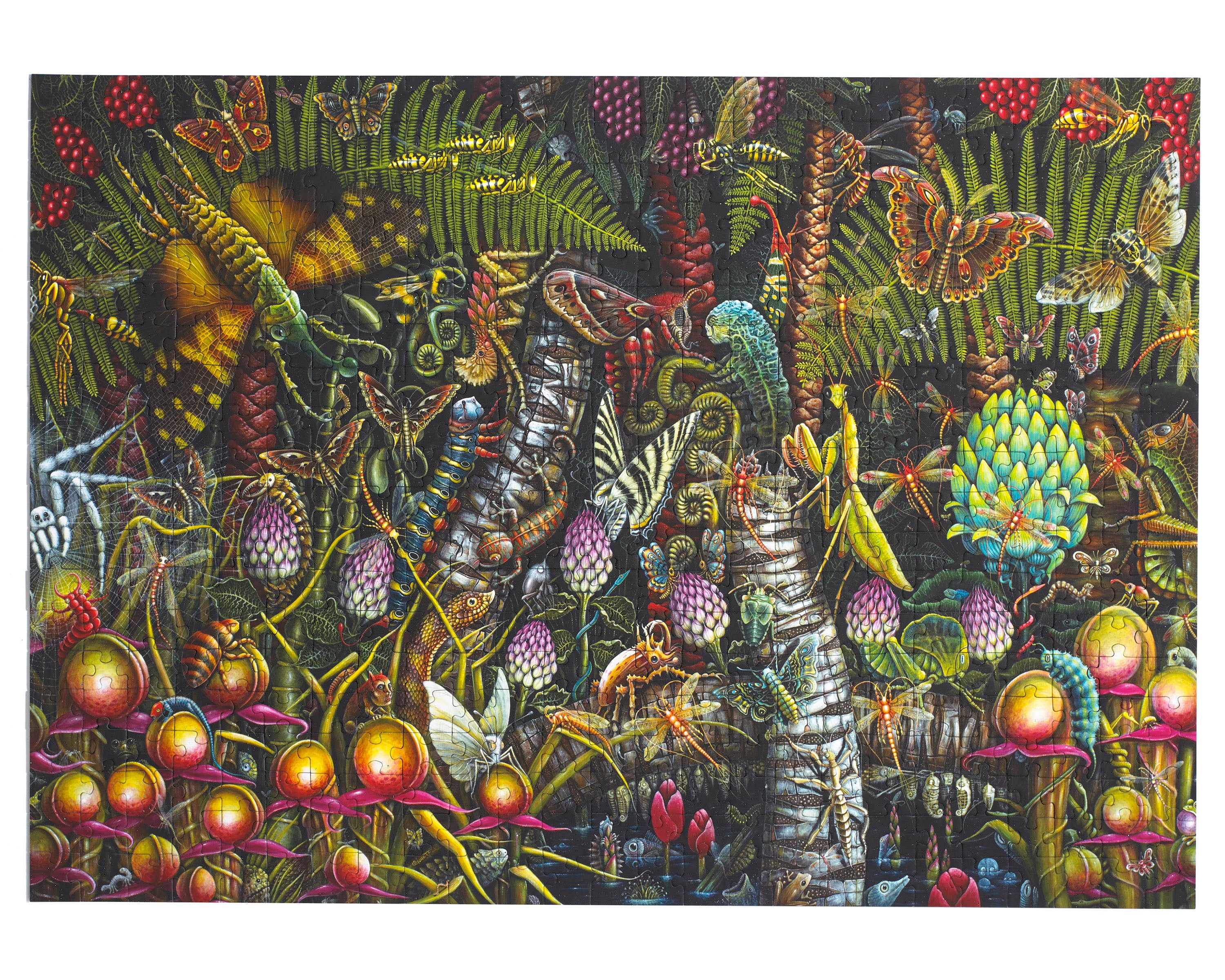 Art & Fable Puzzle Company, LLC - Vente Puzzle – adulte - Microcosmic Garden ; Puzzle 500 pièces au toucher velours5