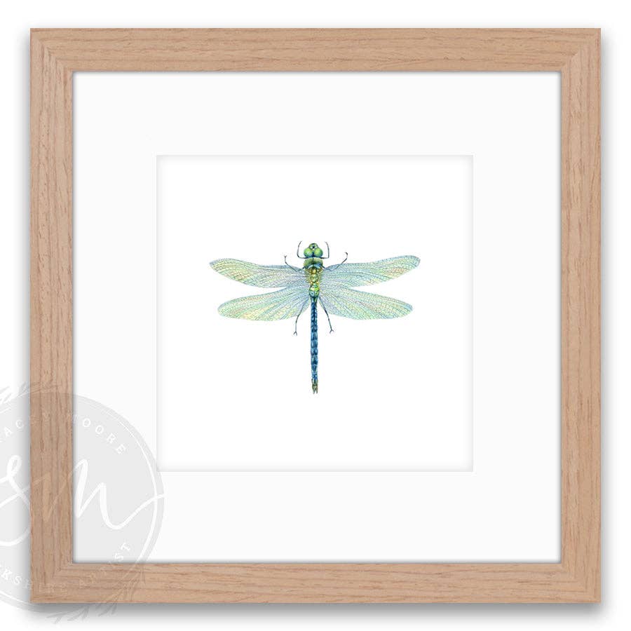 Stacey Moore Ltd - Wholesale Art Print - Dragonfly1