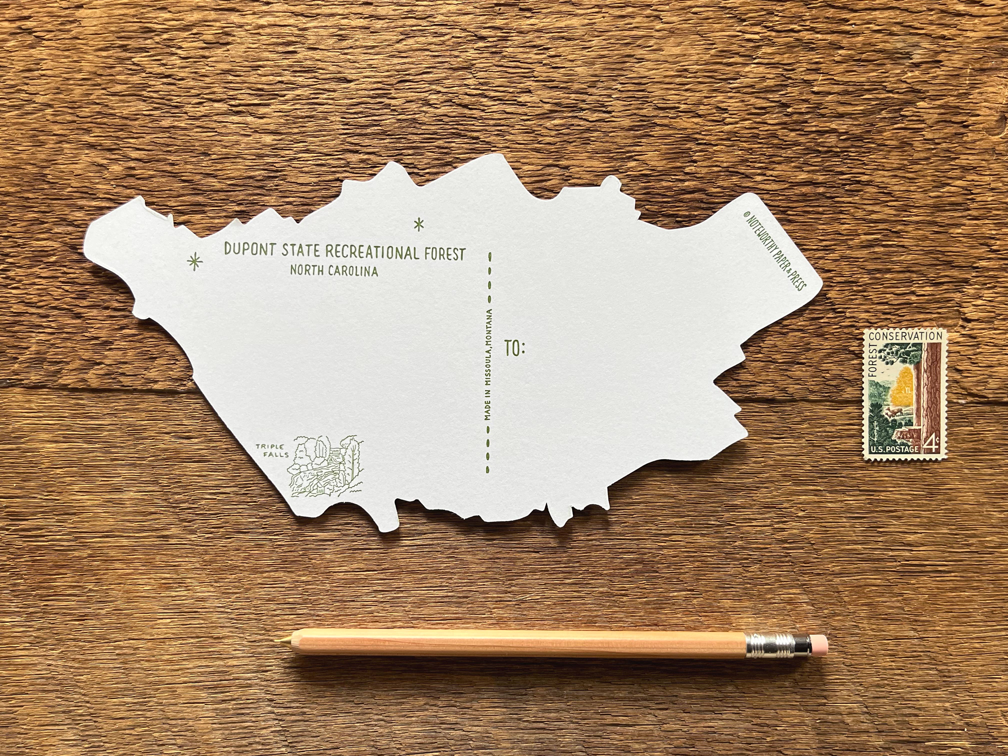 Noteworthy Paper & Press - Wholesale Postcard - Dupont State Forest Postcard5