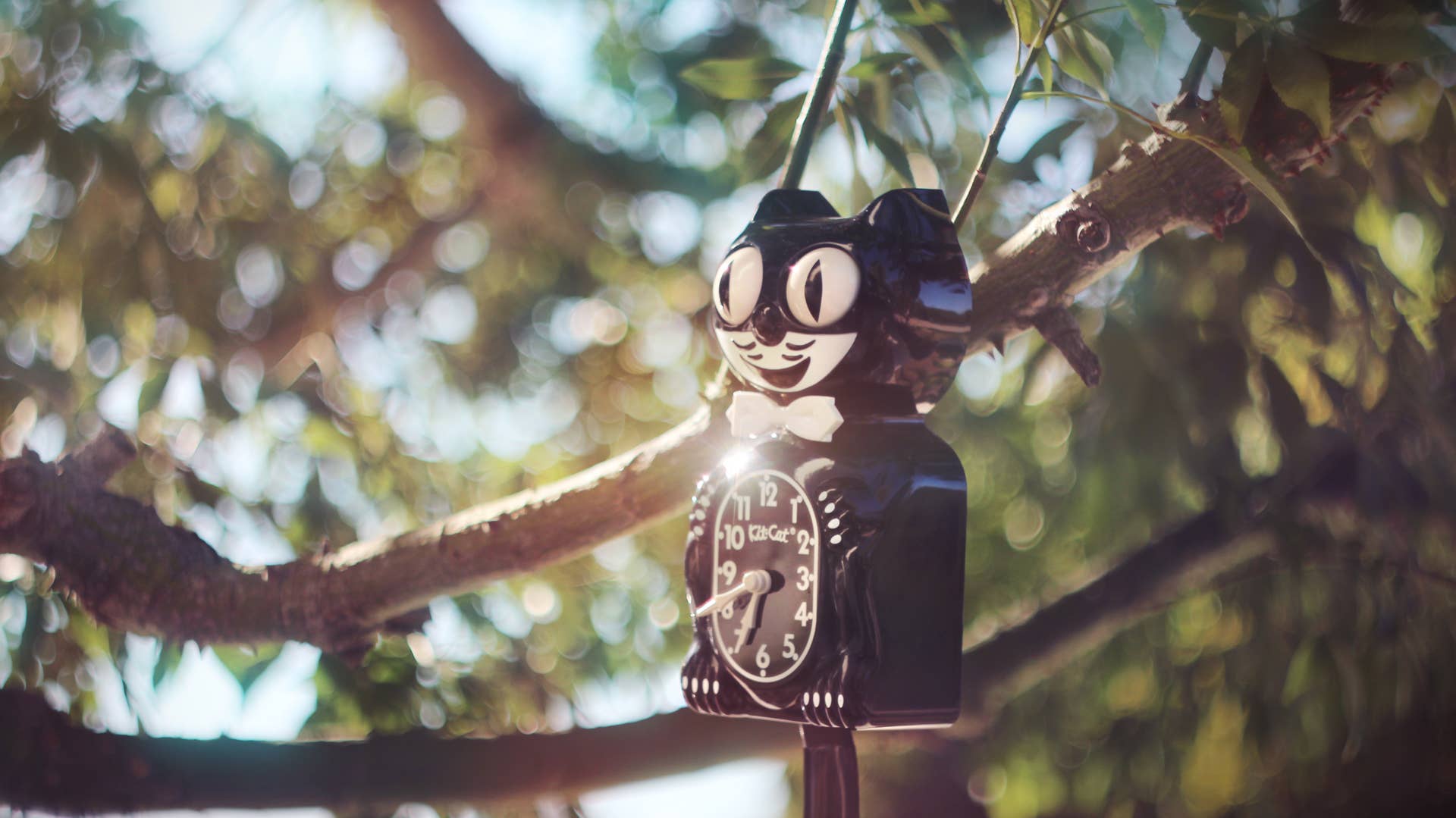 Kit-Cat Klock – Großhandel Wanduhren – Klassische schwarze Kit Cat Klock7