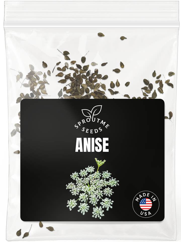 Anise Seeds 200+ Seeds – Non-GMO, Aromatic Herb for Tea & Baking for wholesale by SproutMe Seeds
