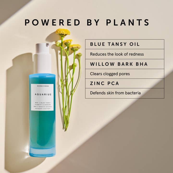 Herbivore Botanicals - Wholesale Facial Cleanser - AQUARIUS BHA + Blue Tansy Clarity Cleanser4