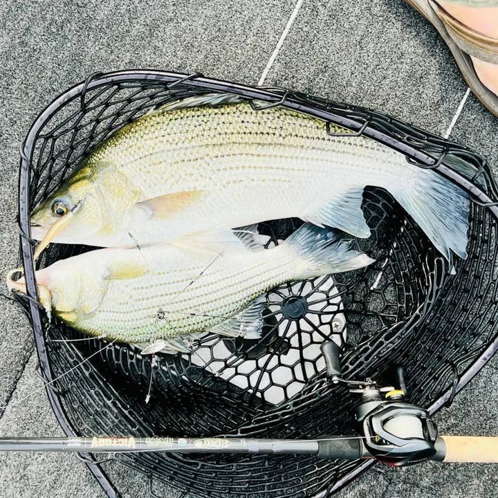 Bassdope Lures - Wholesale Sporting Accessories - Smack Swimbait Jig Head10