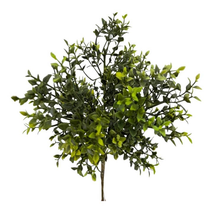 Teeblatt Pick x 3, 25 cm grün für den Großhandel von Floratexx