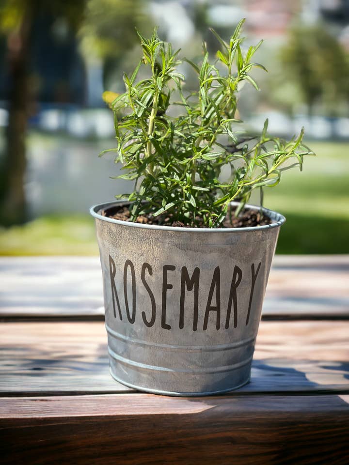 Pot à herbes Rosemary Farmhouse pour la vente par The Savvy Spade