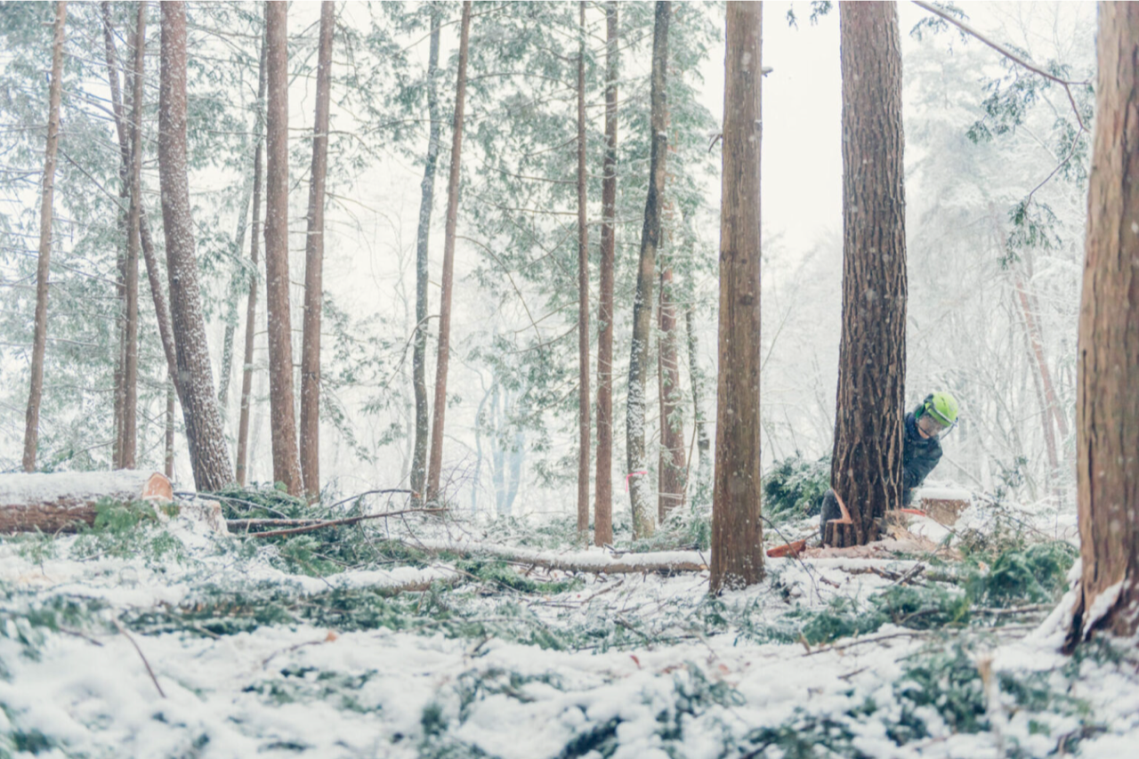 House of Shokunin - Wholesale Notepad - Handcrafted Wood leaf notepad, Birthday Gift, Gift for Dad7