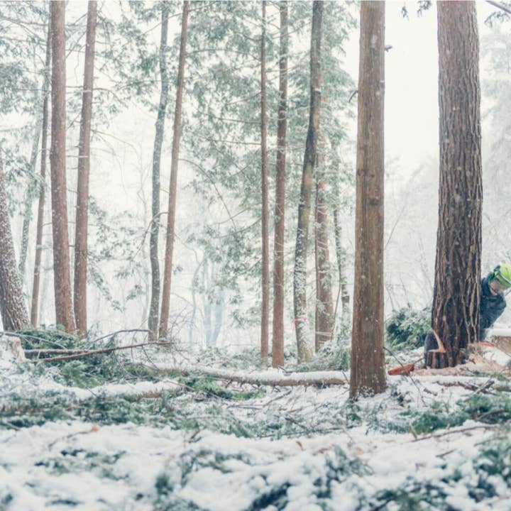 House of Shokunin - Wholesale Notepad - Handcrafted Wood leaf notepad, Birthday Gift, Gift for Dad7