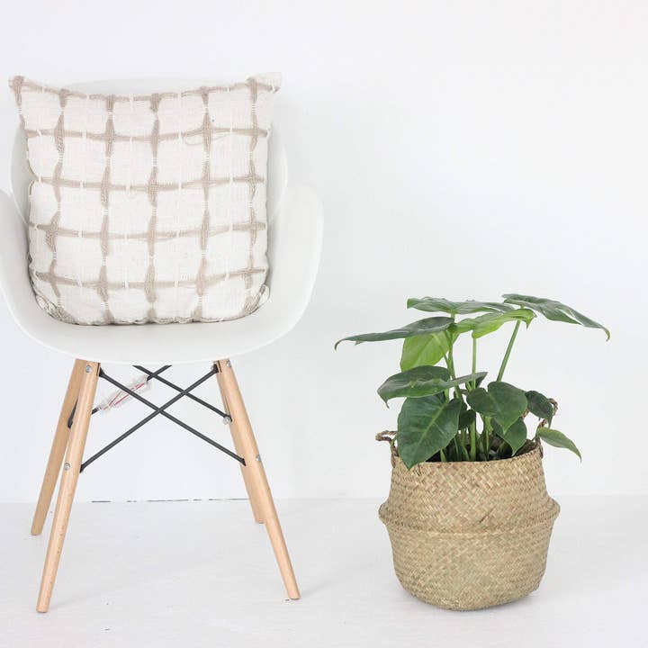 Sprout & About - Wholesale Plant Pot - Woven Seagrass Belly Basket Planter2