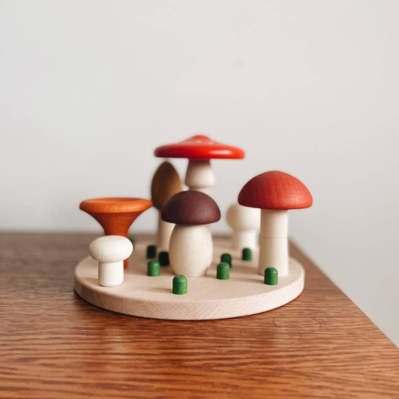 BAJO WOODEN TOYS - Wholesale Wood Toy - Kids - Mushroom Sorter2