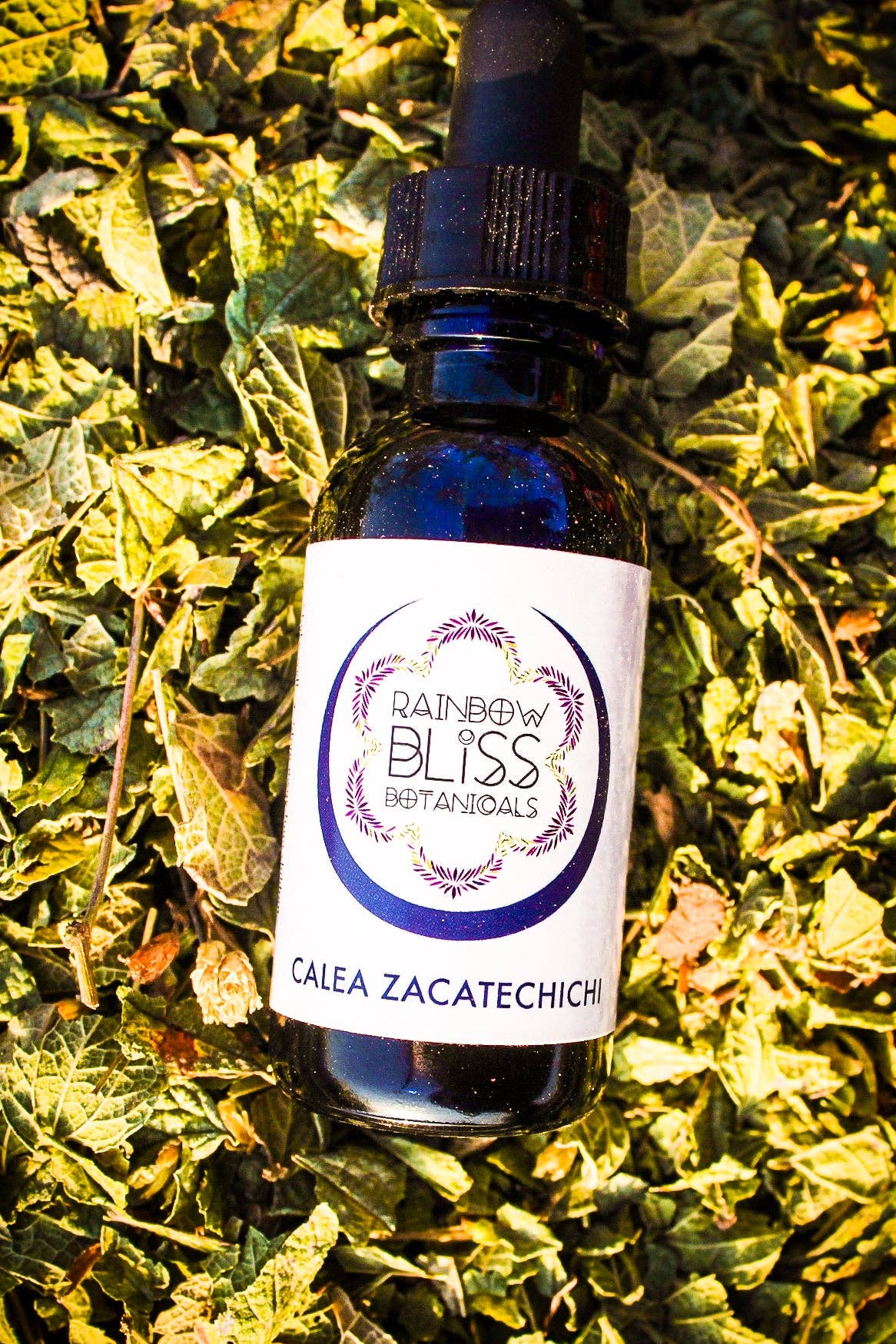 Rainbow Bliss Botanicals - Wholesale Tinctuur - Calea zacatechichi tinctuur