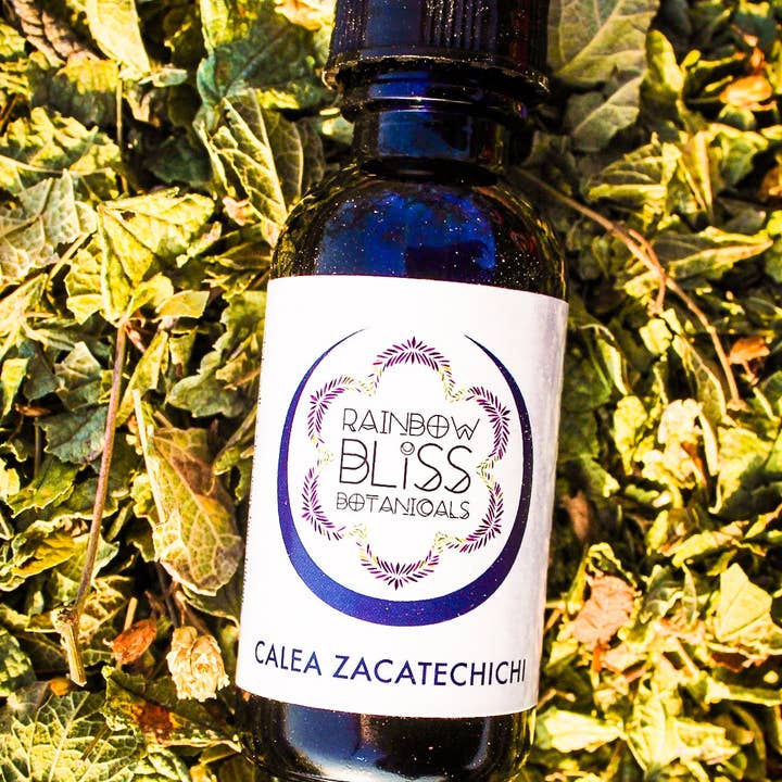 Rainbow Bliss Botanicals - Wholesale Tinctuur - Calea zacatechichi tinctuur0