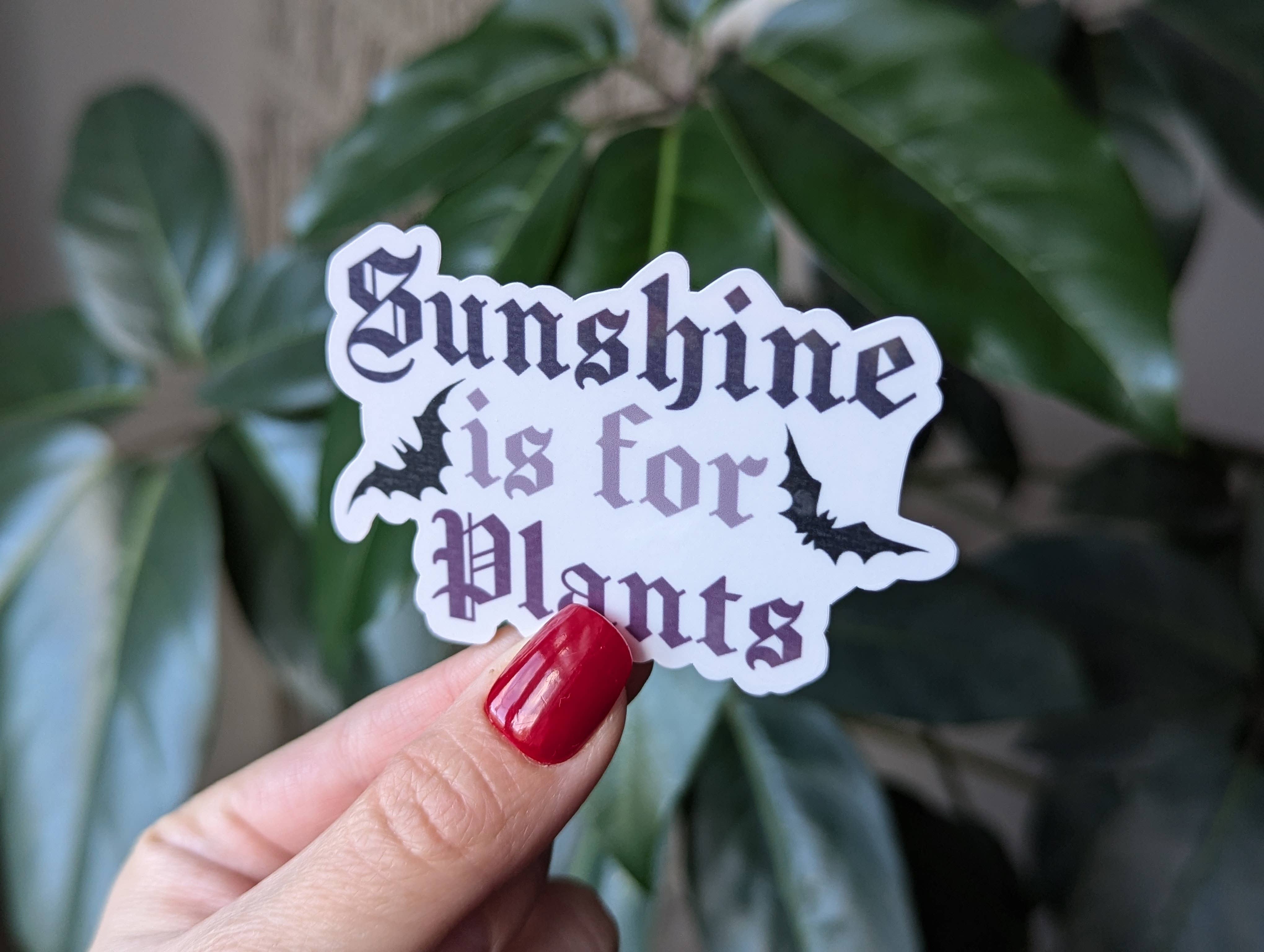 Moonlit Creations - Vente Autocollant - Autocollant Sunshine is for Plants, produit emo gothique noir foncé5
