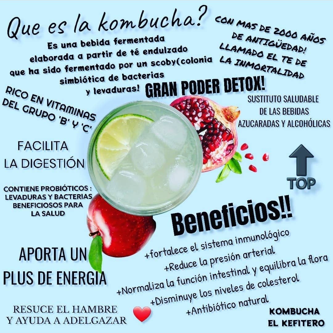 kombucha el kefitero - Wholesale Kombucha - Kombucha mix1