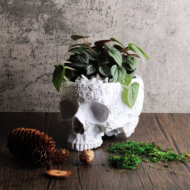 The Wine Savant / Khen Glassware – wholesale Plant pot – Skull Plant Planter 6" H Polyresin Skull - Halloween, Fall