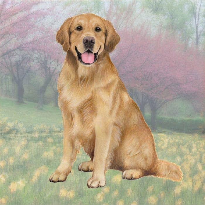 Sottobicchiere quadrato Golden Retriever per la vendita all'ingrosso da parte di E&S Pets