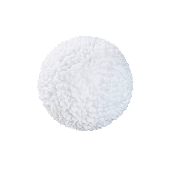 Toysmith - Wholesale Light-Up Toy - Kids & Baby - Light Up Snowball