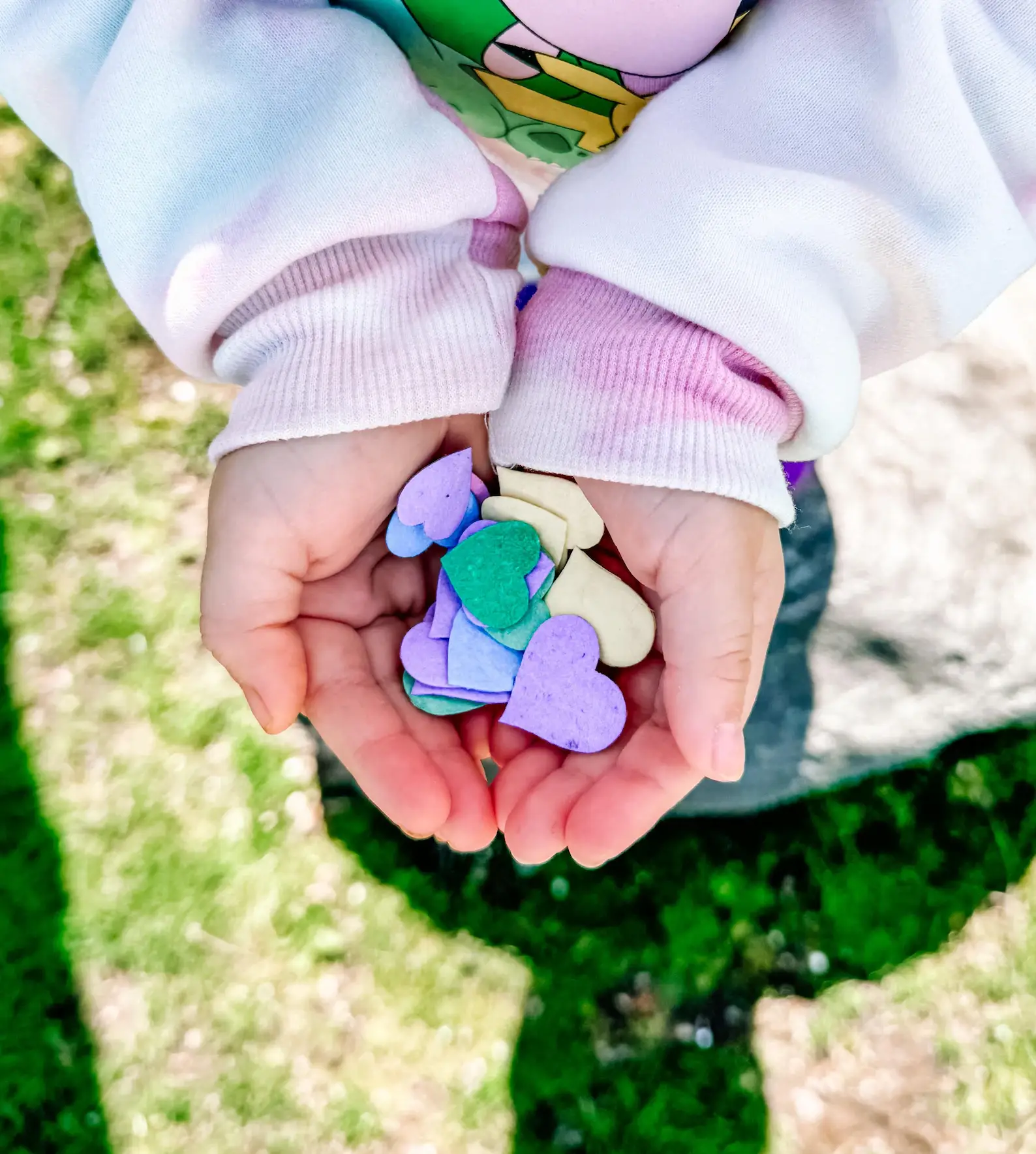 Hudson Valley Makers Co. – Sementes de plantas por atacado – Confetti de Sementes de Flores Silvestres com etiquetas personalizáveis1