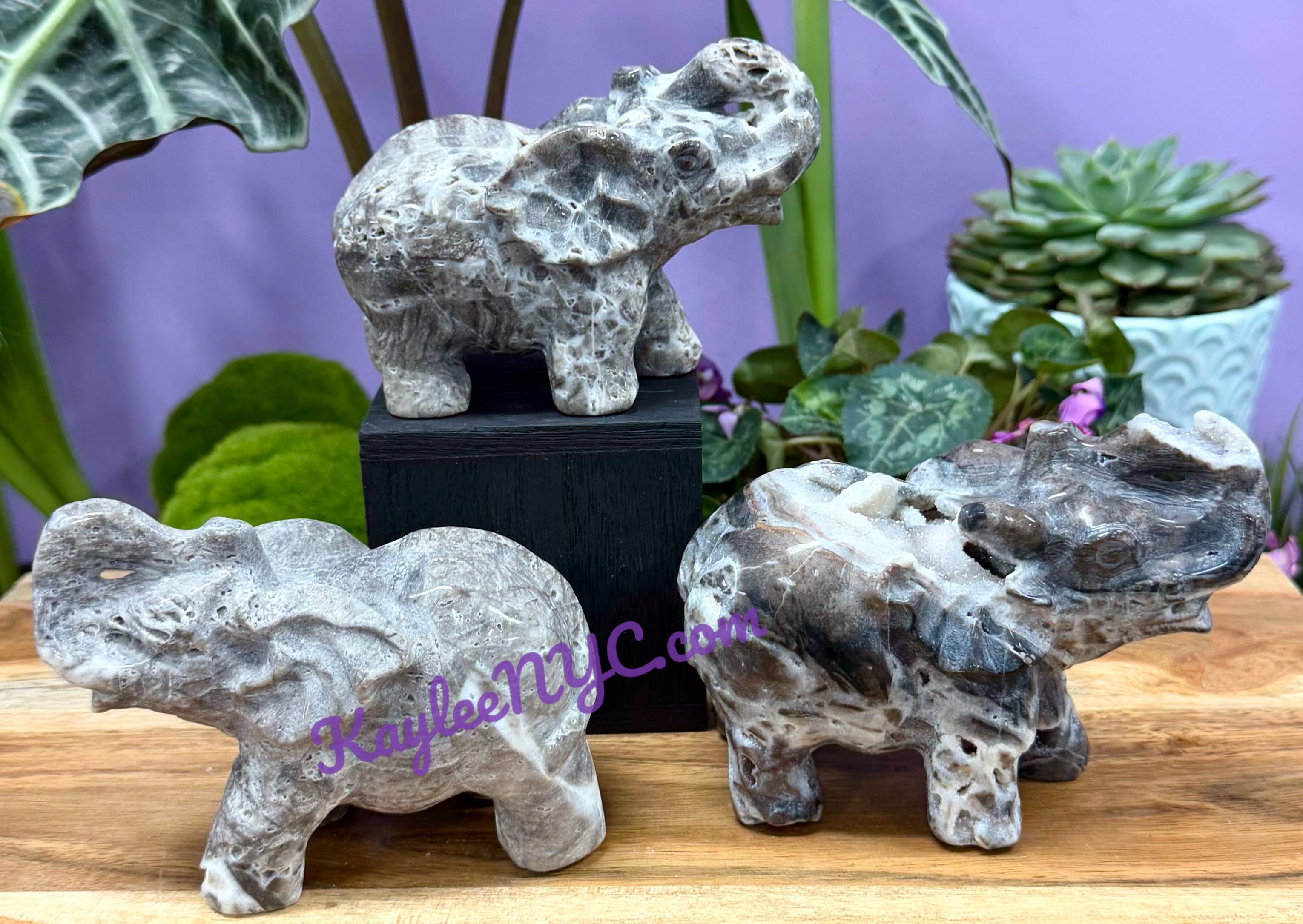 KayleeNYC - Wholesale Spiritual Stone/Crystal - Natural Sphalerite Elephants Healing Energy4
