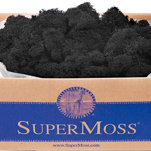 SuperMoss - Wholesale Dried/Pressed Flowers - Reindeer Moss Preserved 3lb Bulk Box