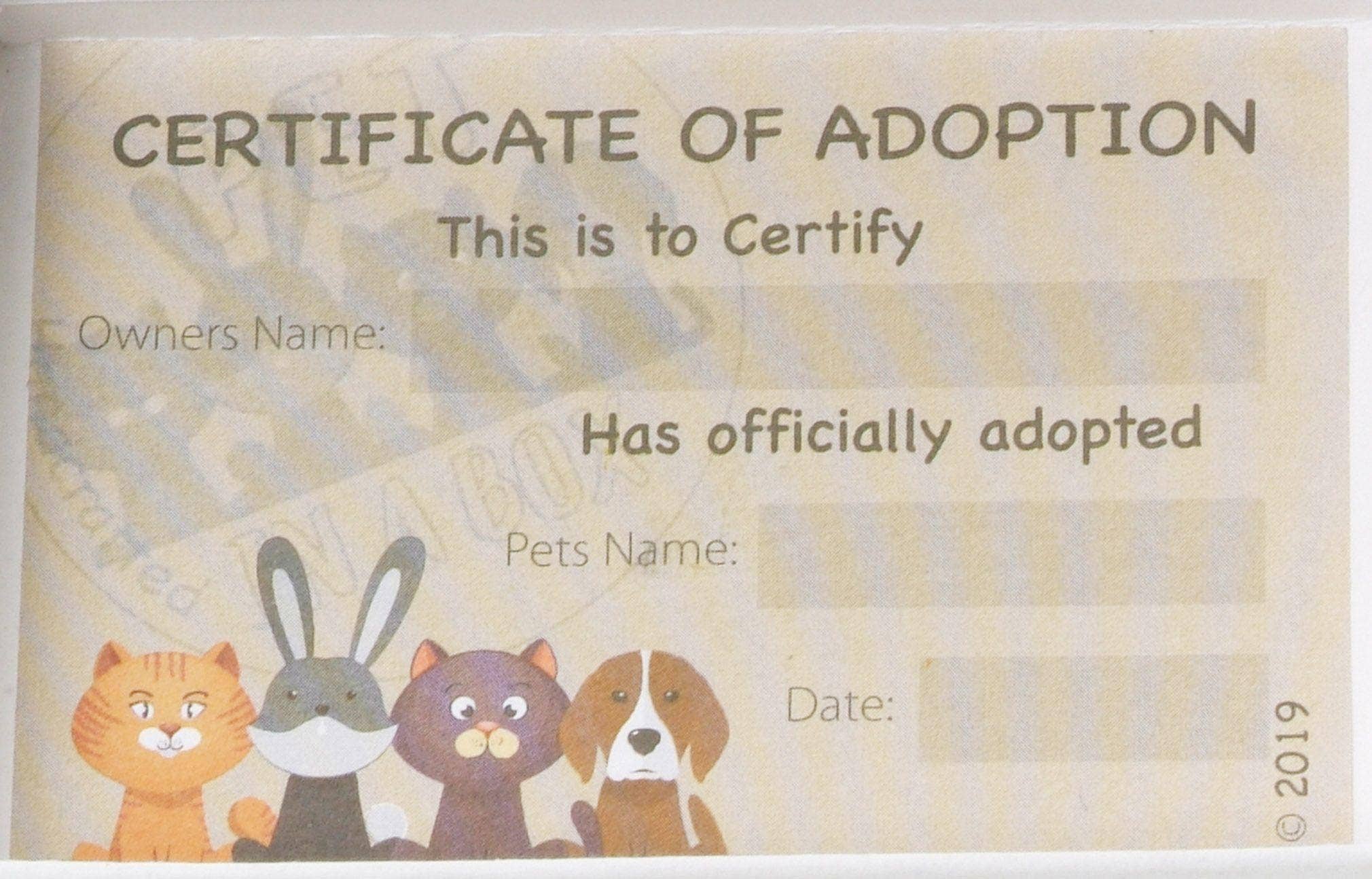 Enigma Supplies – wholesale Decorative figurine – Pet in a Box Ceramic Figurine Animal Gift for Kids9