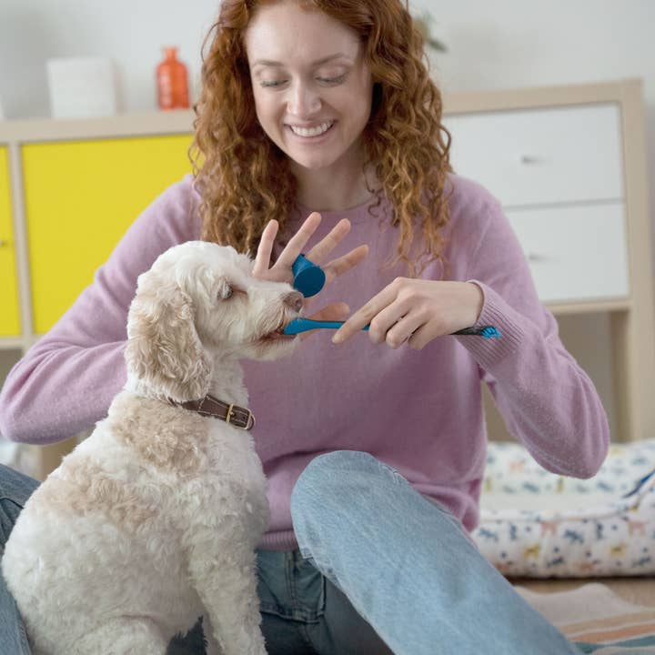 Keen Products Inc. - Wholesale Pet toothpaste – Dog - Doggy Breath to Doggy Fresh Dog Dental Care Kit8