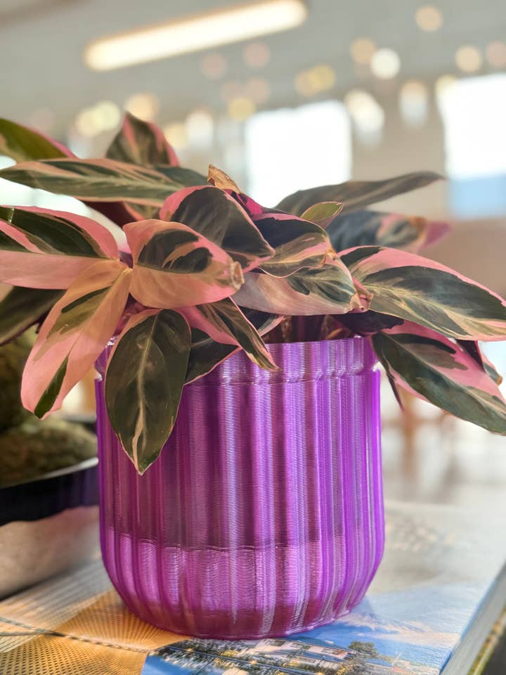 6,5" Monk Classic selvvandende plantekrukke for engroshandel hos MONKBOTANICALS