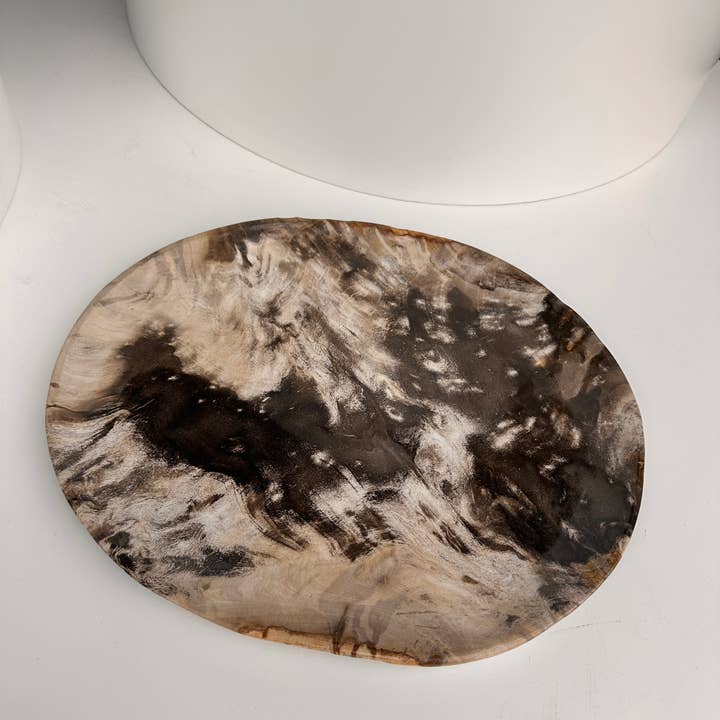 Office Objets - Wholesale Decorative Plate/Dish/Bowl - Very large catchall or dish in petrified wood31