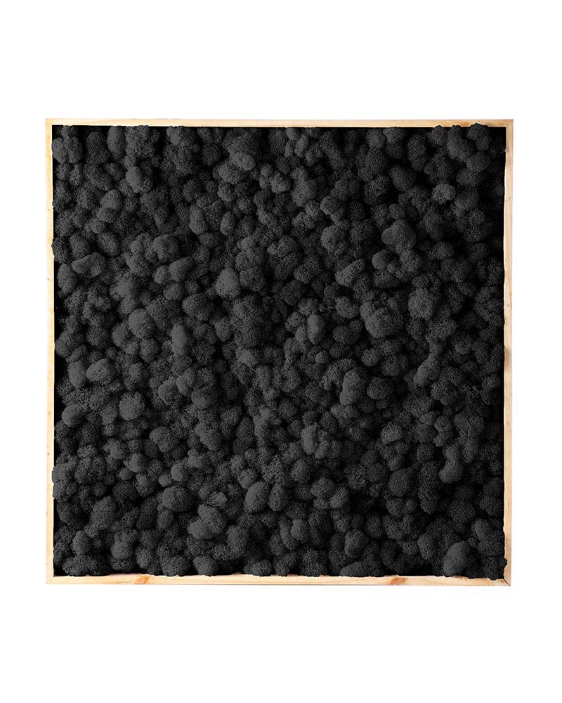 SuperMoss - Wholesale Wall Accent - Vertical Gardens - Reindeer Moss Walls2