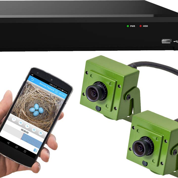 Green Feathers - Wholesale Small/Handheld Appliance - Aviary HD Cameras With Recorder Pack0