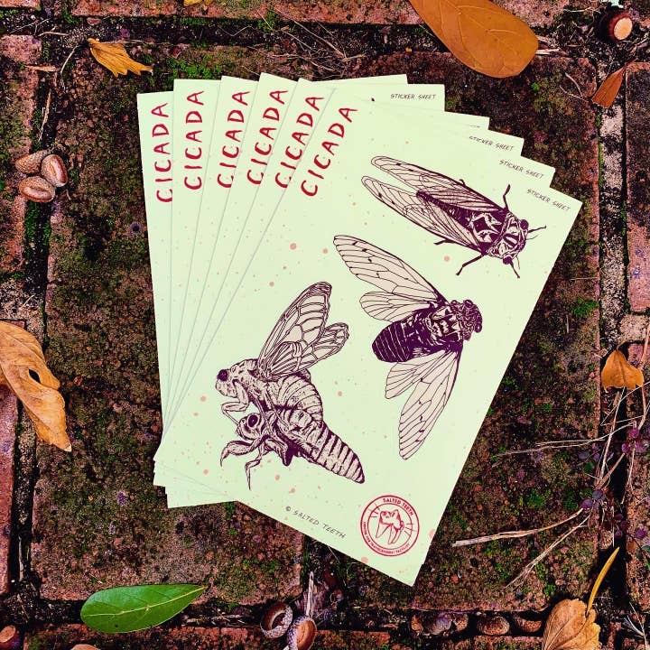 Cicada — Foglio di adesivi per la vendita all'ingrosso da parte di Salted Teeth