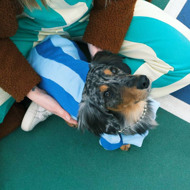 Sunbean - Wholesale Pet Sweater - Dog - Ziggy Cotton Dog Quarter-Zip Pullover8