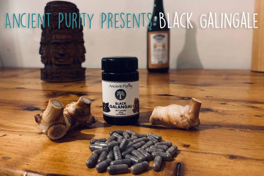 Ancient Purity - Wholesale Oral Supplement/Vitamin - Black Galingale - 60 x 250mg | Black Ginger | Male Libido8