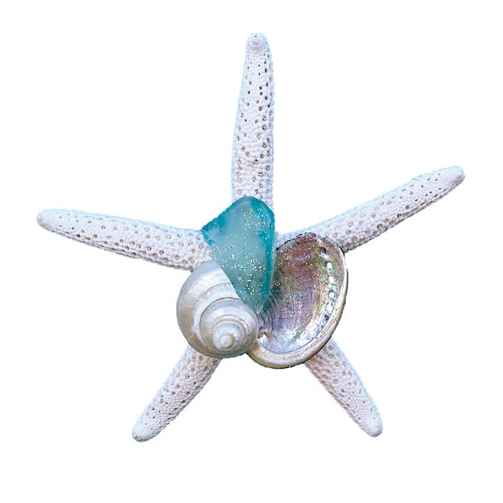 California Seashell Company - Wholesale Magnet - Sea Glass White Finger Starfish Collage Magnet4