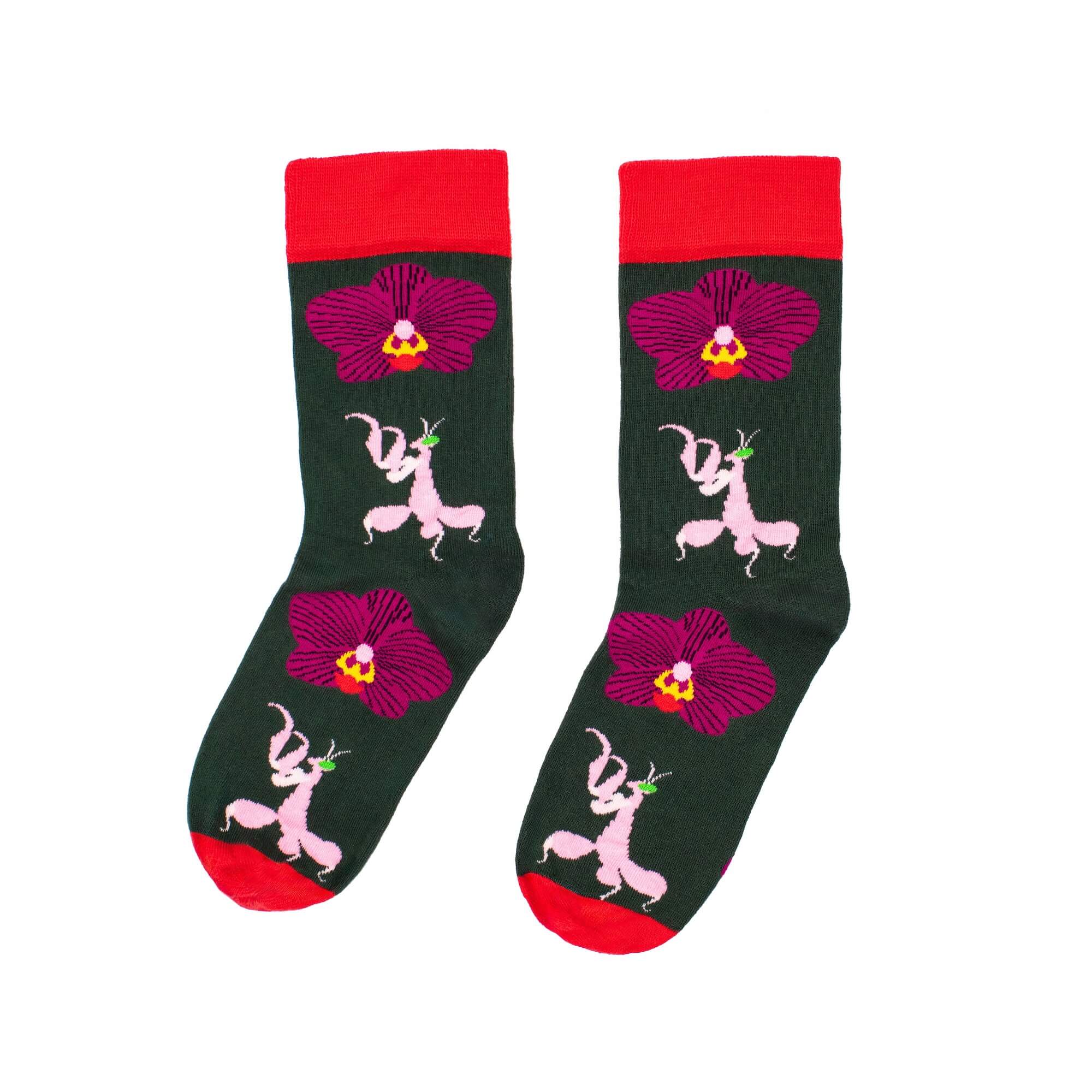 Arte Do Pé – wholesale Strumpor - Unisex – Mantis Premium Artist-strumpa1