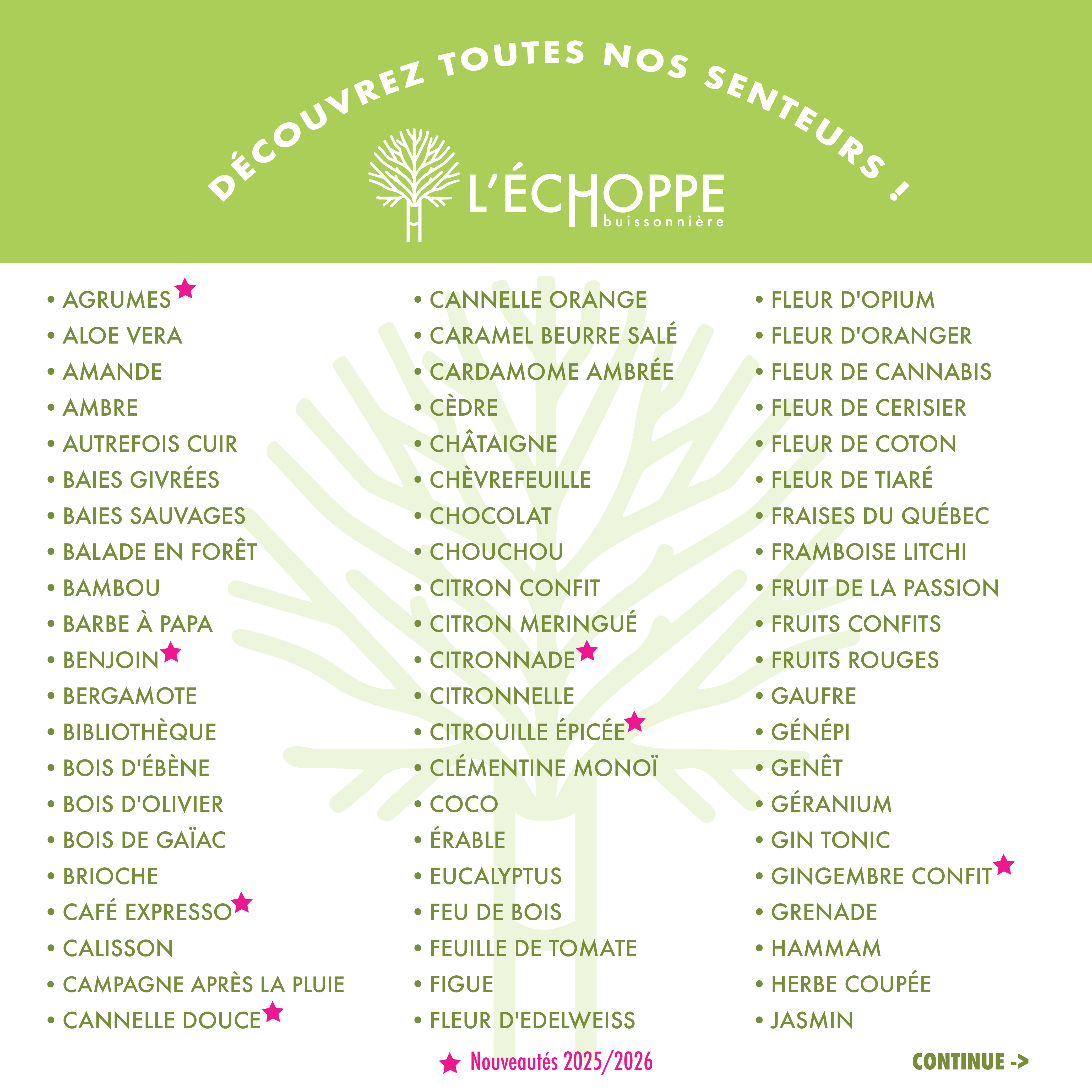 L'Échoppe Buissonnière - Wholesale Jar/Filled Candle - Raspberry Lychee - Scented Candle 180g4