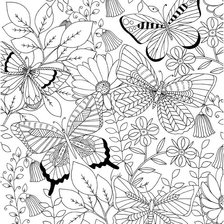 Peter Pauper Press - Wholesale Coloring & Activity Book - Adult - Follow Your Dreams Artist's Coloring Book10