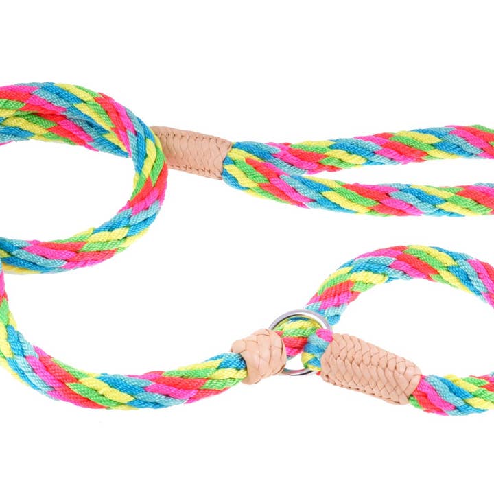 Alvalley - Wholesale Pet Leash - Dog - Nylon Slip Lead With Stopper227