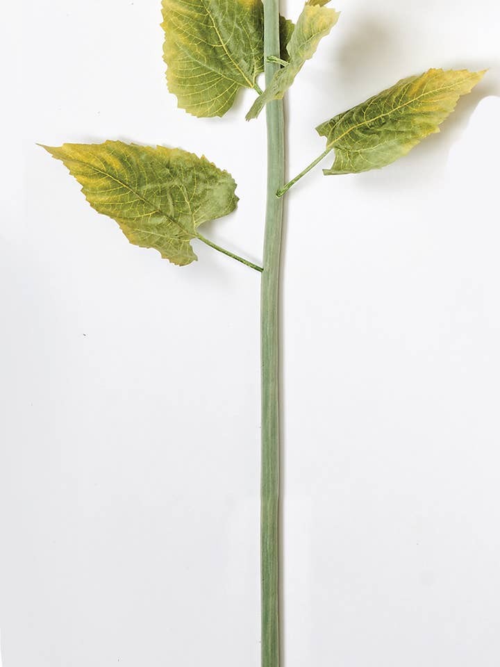 Tournesol de 41 po avec tête de fleur de 8 po et 6 feuilles pour la vente par WORTH IMPORTS