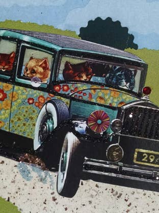 Cat Car Greeting Card for wholesale by Erica DiPaolo Designs