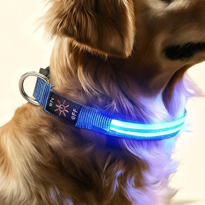 LED Dual Fiber Dog Collar USB Rechargeable_CWMM11460 for wholesale by PAWPAWwholesale