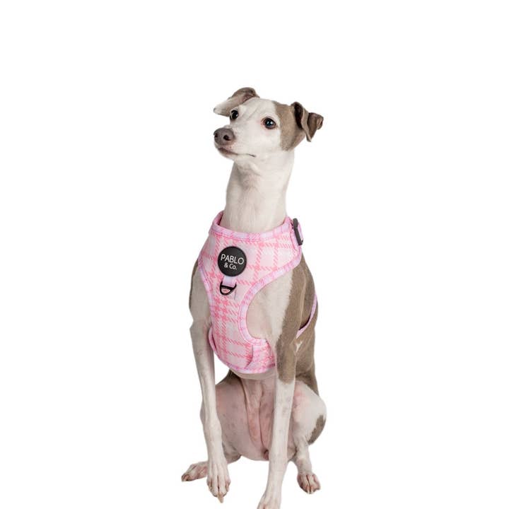 Pablo & Co. Boutique – wholesale Sele - Hund – Justerbart hundsele i rosa hundtand6