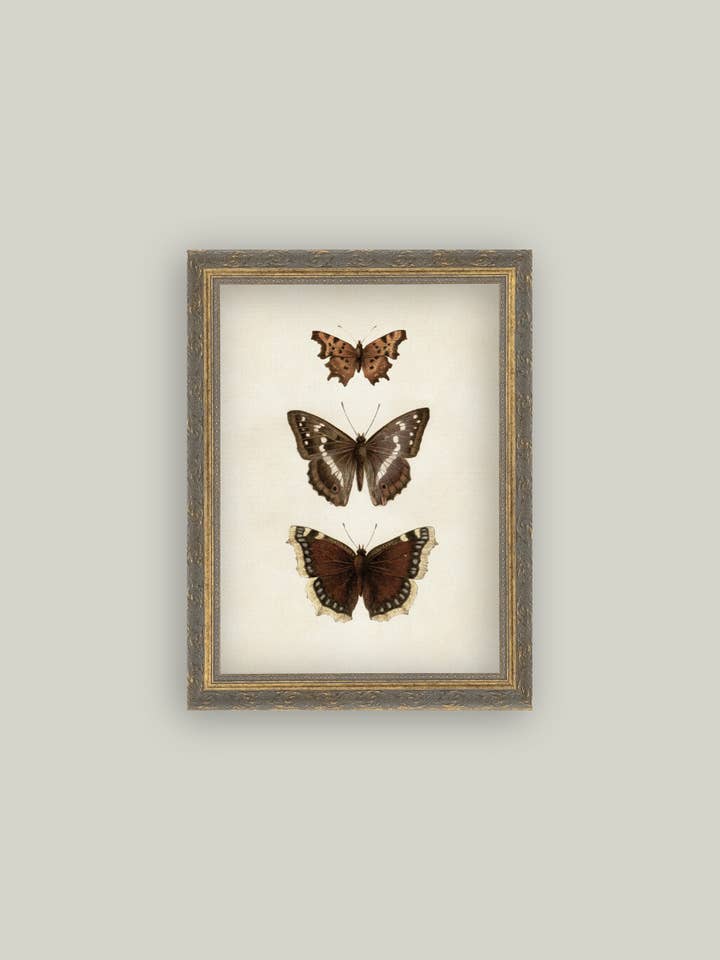 Three Butterflies Framed Antique Art for wholesale by Petal Lane Home