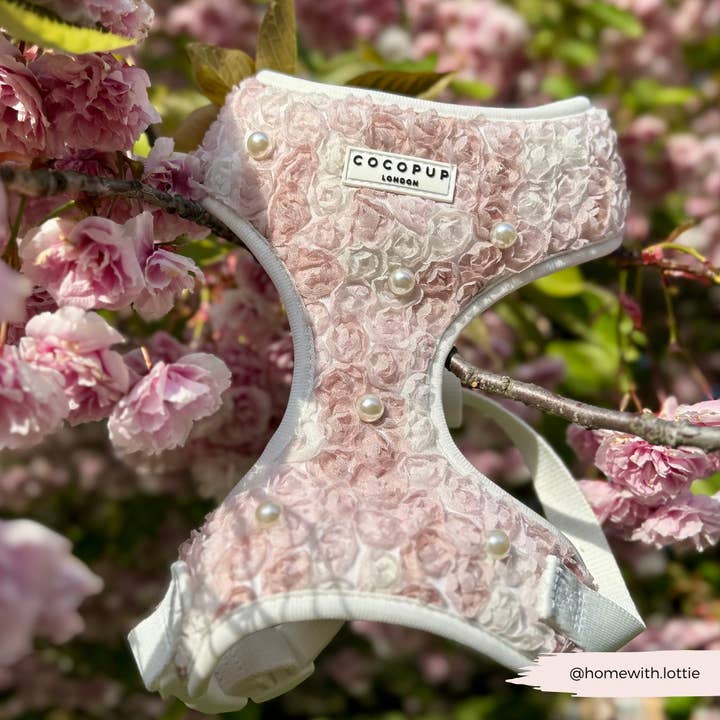 Cocopup London - Wholesale Pet Harness - Dog - Pearly Pup Adjustable Neck HARNESS8