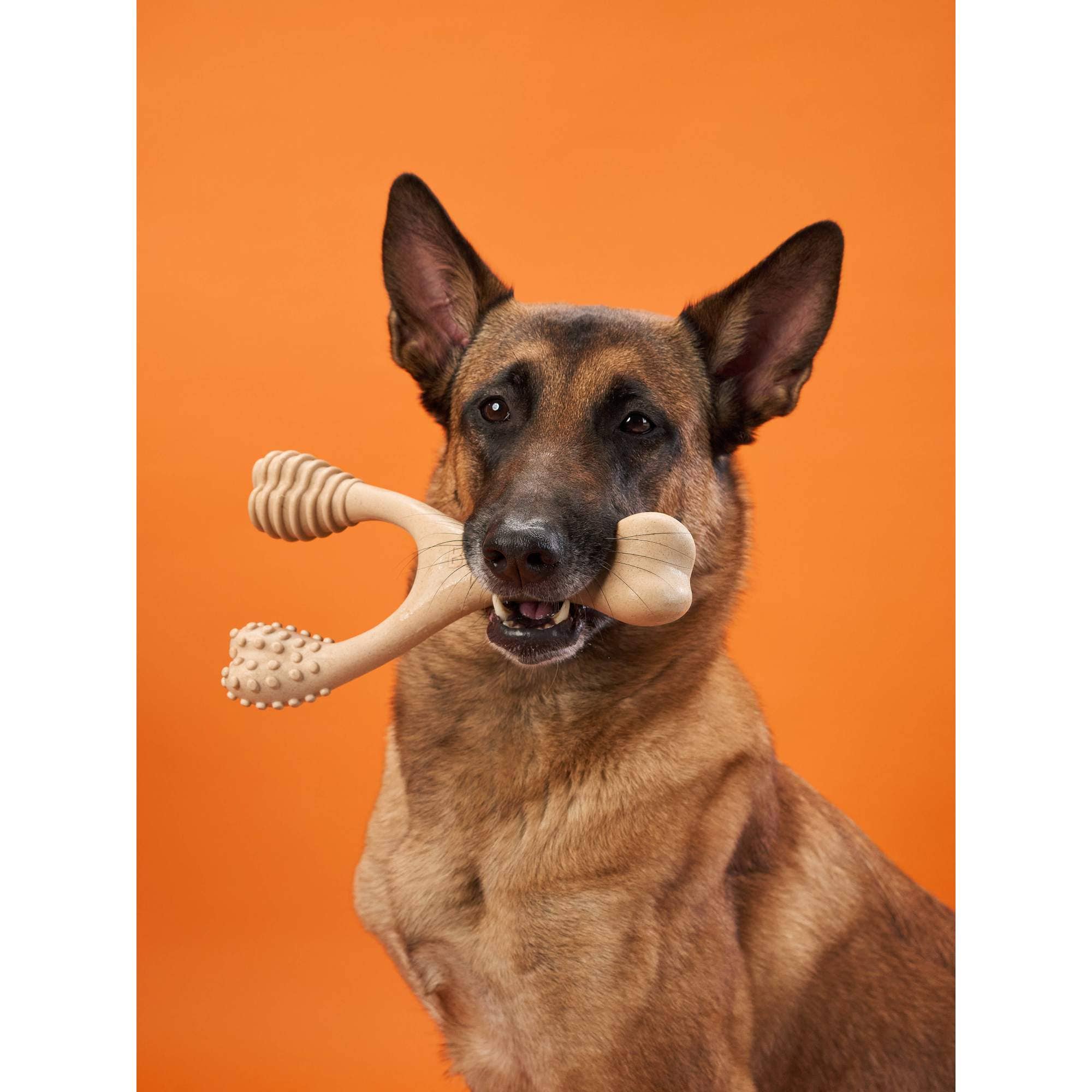 Naomi's Happy Place Shop - Wholesale Pet Chew Toy - Dog - BetterBone HARD CHEW TOY: Natural Ingredients, eco-friendly, and ultra-durable chew for the toughest chewers!13