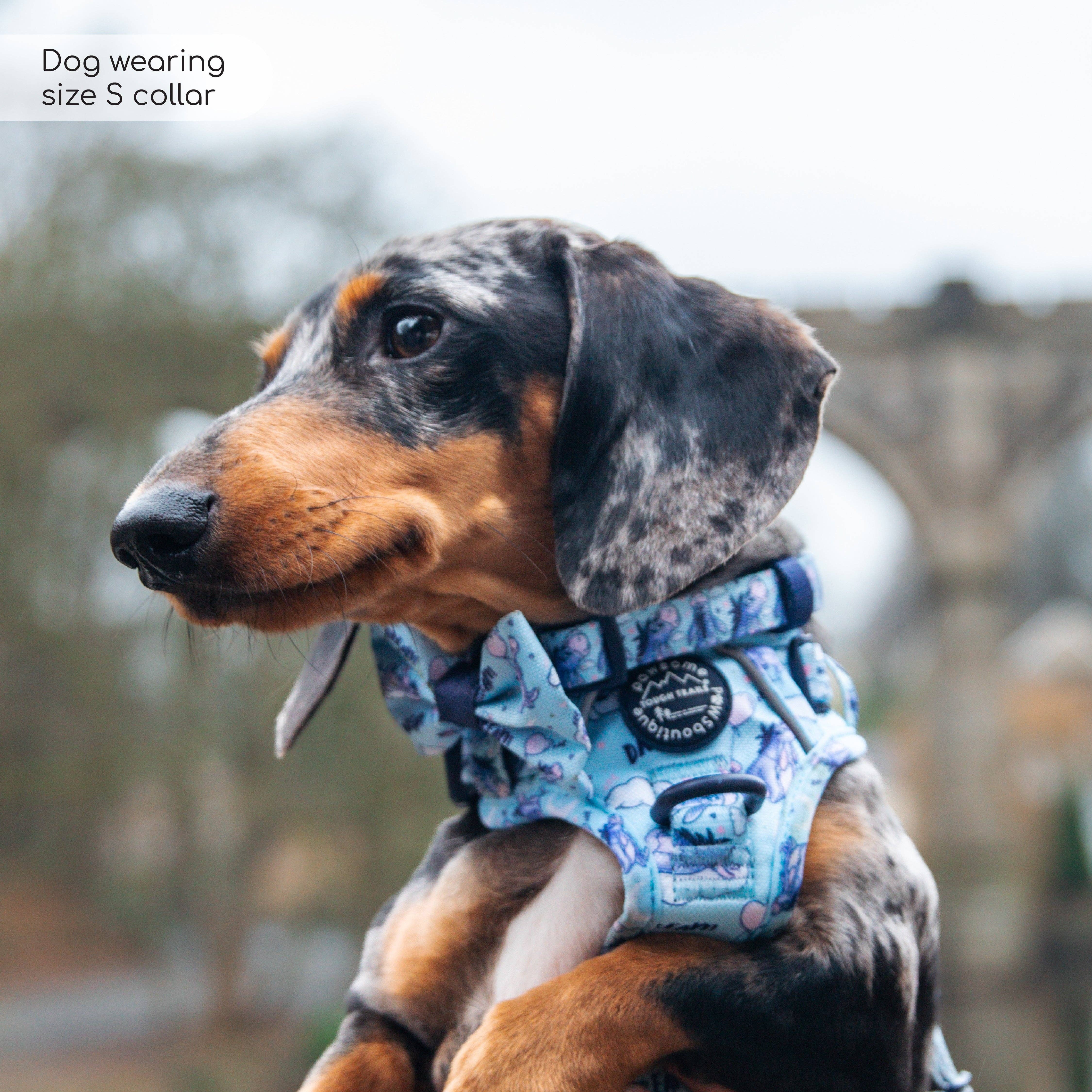 Pawsome Paws - Vendita all'ingrosso Collare - Cani - Collare Disney© - Ih-Oh8